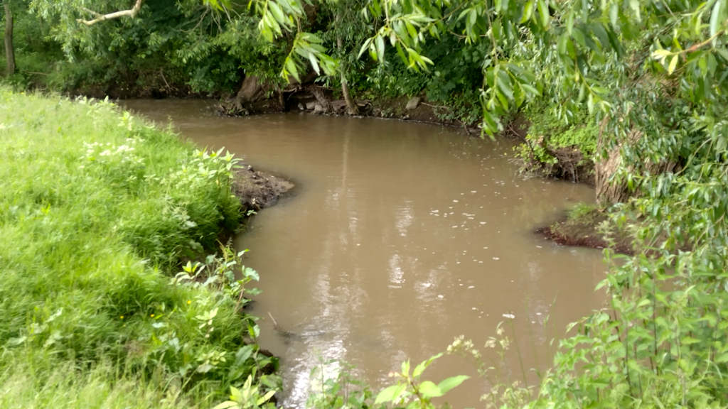 Photo of the muddy beck