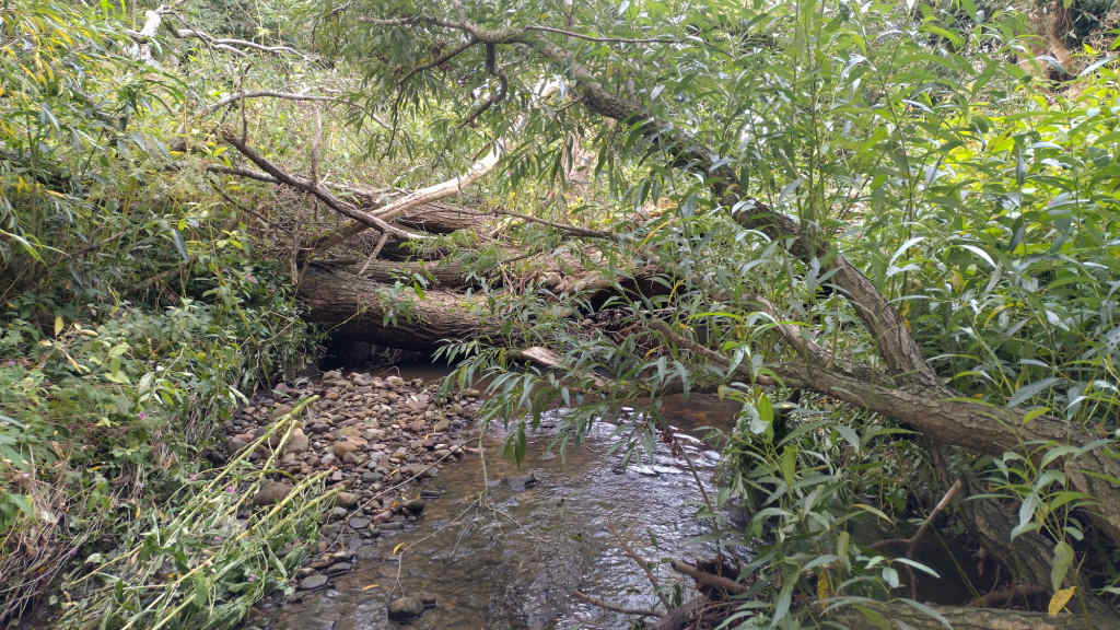 Photo of the the blockage