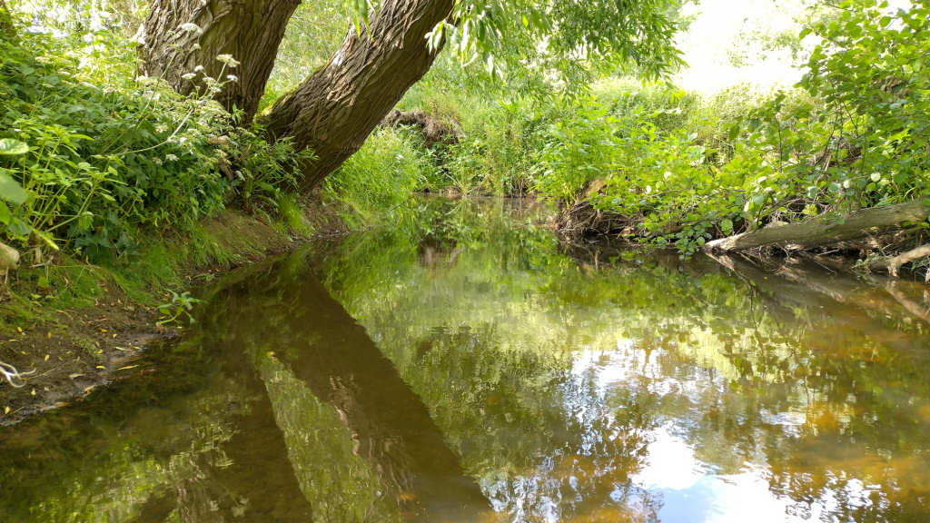 Photo of a pleasant pool